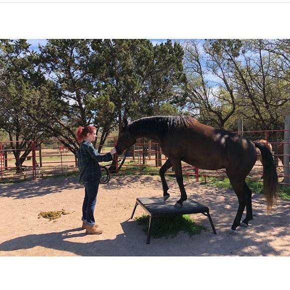 Meet your Posher, Heidi - Picture 6 of 6